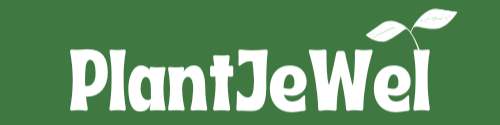 PlantJeWel