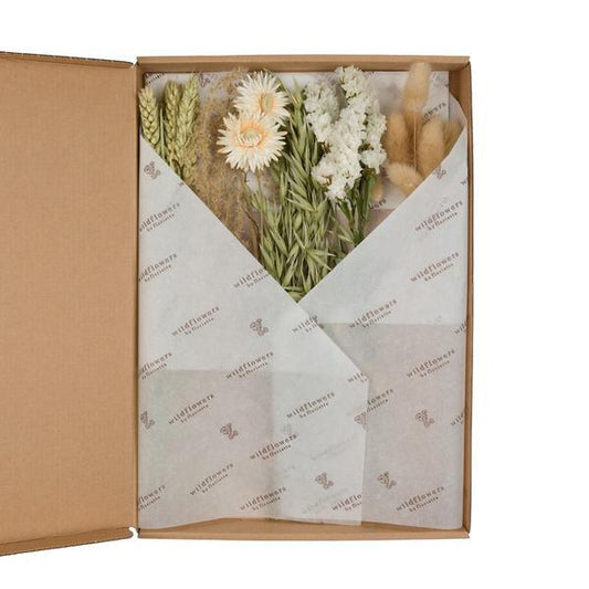 [Brand/Company Name] [Plant/Flower Type] and [Plant/Flower Type] set in [Material/Color] pot on [Material/Color] tray.