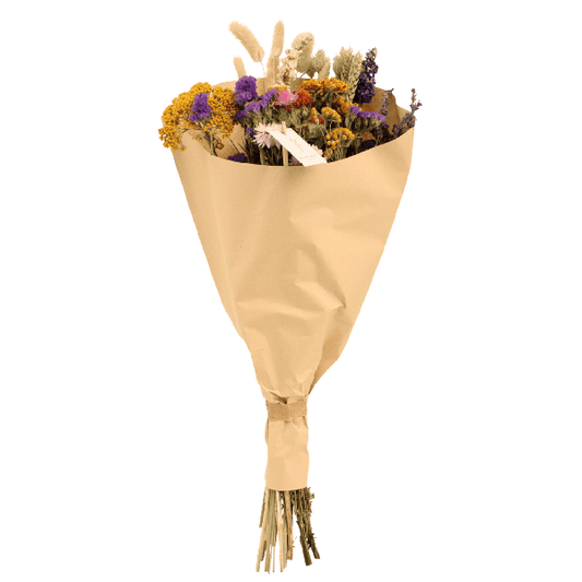 [Brand/Company Name] [Plant/Flower Type] and [Plant/Flower Type] set in [Material/Color] pot on [Material/Color] tray.