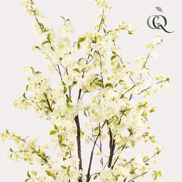 [Brand/Company Name] [Plant/Flower Type] and [Plant/Flower Type] set in [Material/Color] pot on [Material/Color] tray.
