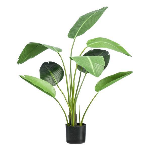 [Brand/Company Name] [Plant/Flower Type] and [Plant/Flower Type] set in [Material/Color] pot on [Material/Color] tray.