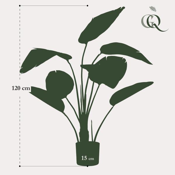 [Brand/Company Name] [Plant/Flower Type] and [Plant/Flower Type] set in [Material/Color] pot on [Material/Color] tray.