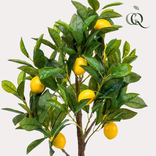 [Brand/Company Name] [Plant/Flower Type] and [Plant/Flower Type] set in [Material/Color] pot on [Material/Color] tray.