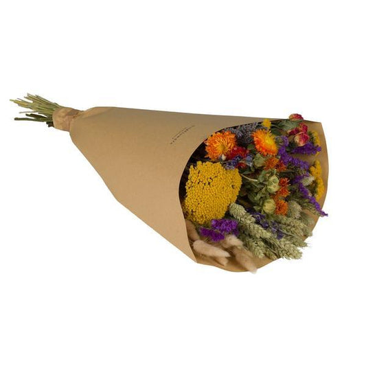 [Brand/Company Name] [Plant/Flower Type] and [Plant/Flower Type] set in [Material/Color] pot on [Material/Color] tray.