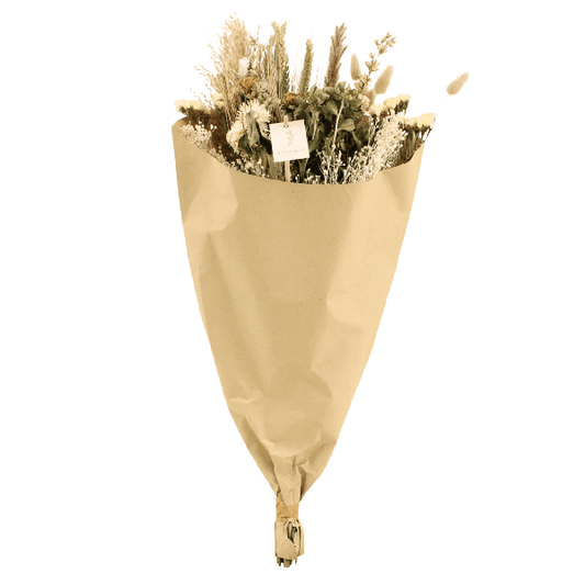 [Brand/Company Name] [Plant/Flower Type] and [Plant/Flower Type] set in [Material/Color] pot on [Material/Color] tray.