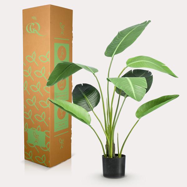 [Brand/Company Name] [Plant/Flower Type] and [Plant/Flower Type] set in [Material/Color] pot on [Material/Color] tray.