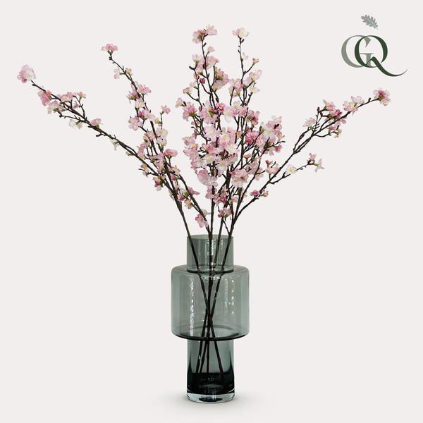 [Brand/Company Name] [Plant/Flower Type] and [Plant/Flower Type] set in [Material/Color] pot on [Material/Color] tray.