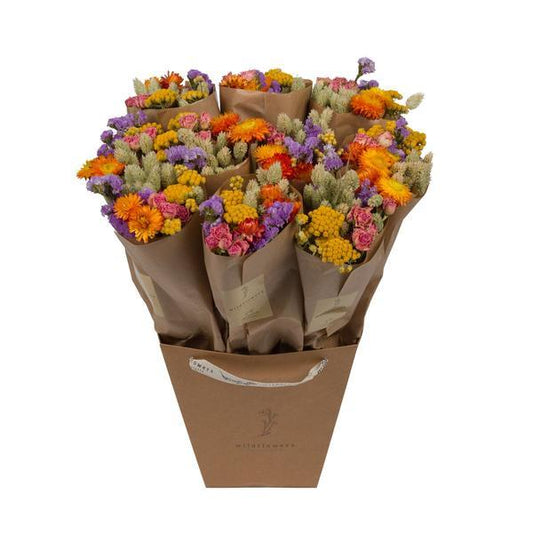 [Brand/Company Name] [Plant/Flower Type] and [Plant/Flower Type] set in [Material/Color] pot on [Material/Color] tray.