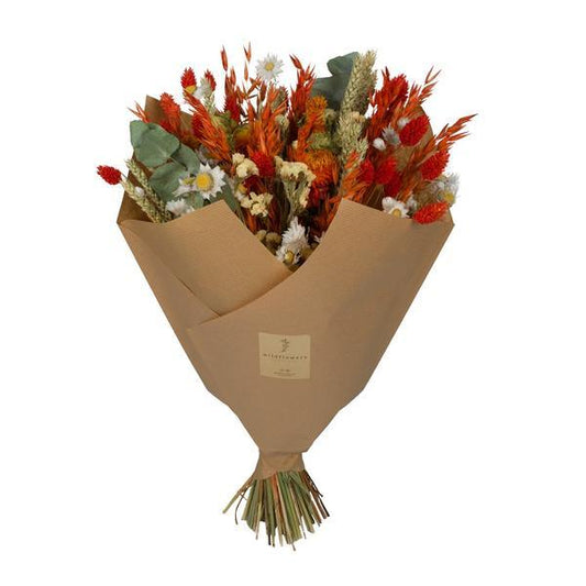 [Brand/Company Name] [Plant/Flower Type] and [Plant/Flower Type] set in [Material/Color] pot on [Material/Color] tray.