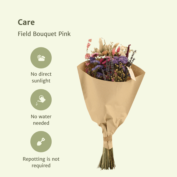 [Brand/Company Name] [Plant/Flower Type] and [Plant/Flower Type] set in [Material/Color] pot on [Material/Color] tray.