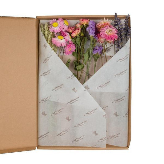 [Brand/Company Name] [Plant/Flower Type] and [Plant/Flower Type] set in [Material/Color] pot on [Material/Color] tray.