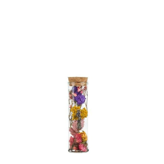 [Brand/Company Name] [Plant/Flower Type] and [Plant/Flower Type] set in [Material/Color] pot on [Material/Color] tray.