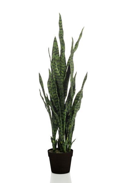 [Brand/Company Name] [Plant/Flower Type] and [Plant/Flower Type] set in [Material/Color] pot on [Material/Color] tray.