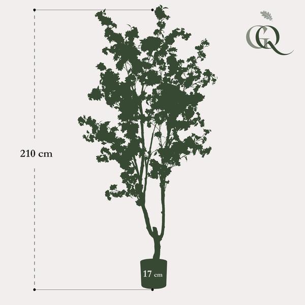 [Brand/Company Name] [Plant/Flower Type] and [Plant/Flower Type] set in [Material/Color] pot on [Material/Color] tray.