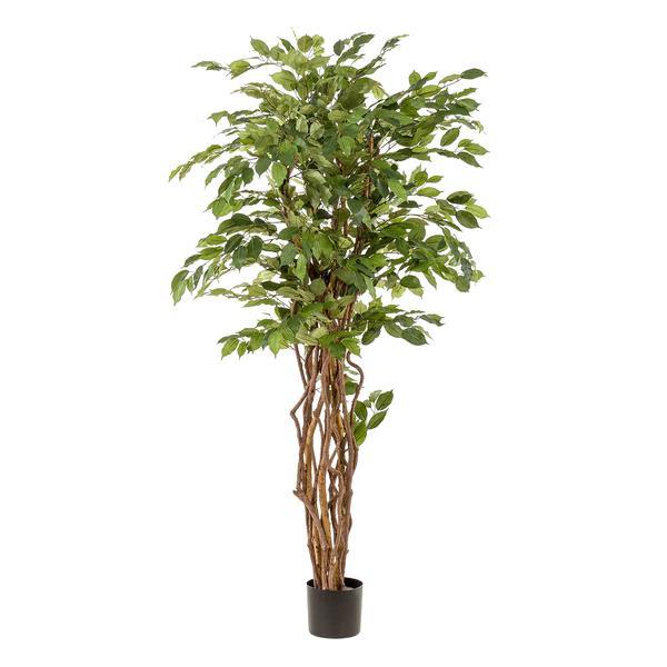[Brand/Company Name] [Plant/Flower Type] and [Plant/Flower Type] set in [Material/Color] pot on [Material/Color] tray.