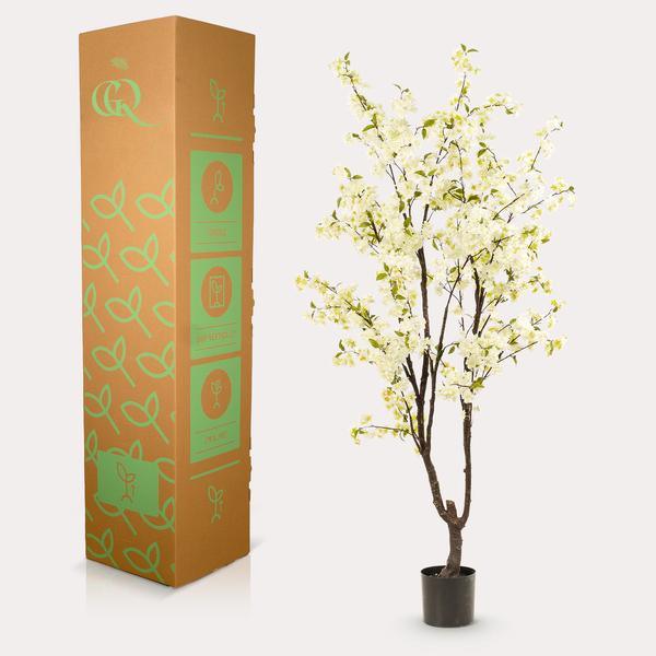[Brand/Company Name] [Plant/Flower Type] and [Plant/Flower Type] set in [Material/Color] pot on [Material/Color] tray.