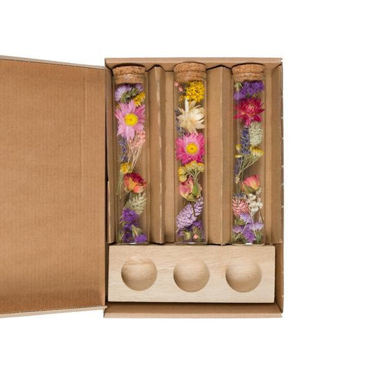 [Brand/Company Name] [Plant/Flower Type] and [Plant/Flower Type] set in [Material/Color] pot on [Material/Color] tray.