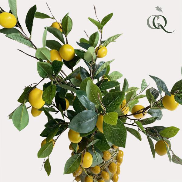 [Brand/Company Name] [Plant/Flower Type] and [Plant/Flower Type] set in [Material/Color] pot on [Material/Color] tray.