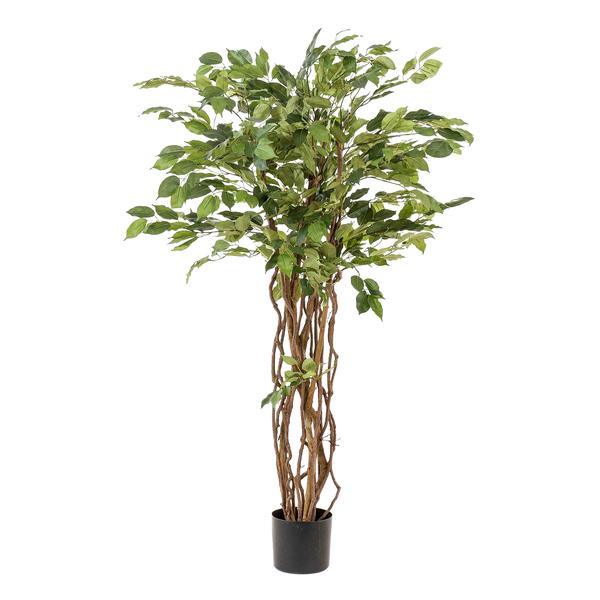 [Brand/Company Name] [Plant/Flower Type] and [Plant/Flower Type] set in [Material/Color] pot on [Material/Color] tray.