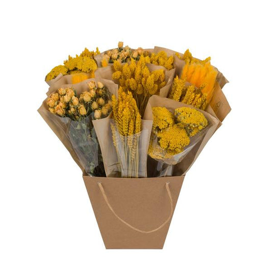 [Brand/Company Name] [Plant/Flower Type] and [Plant/Flower Type] set in [Material/Color] pot on [Material/Color] tray.