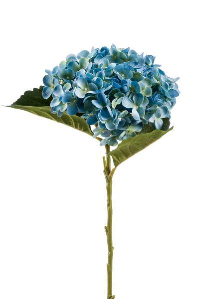 [Brand/Company Name] [Plant/Flower Type] and [Plant/Flower Type] set in [Material/Color] pot on [Material/Color] tray.