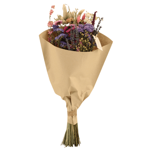 [Brand/Company Name] [Plant/Flower Type] and [Plant/Flower Type] set in [Material/Color] pot on [Material/Color] tray.