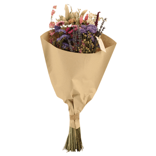 [Brand/Company Name] [Plant/Flower Type] and [Plant/Flower Type] set in [Material/Color] pot on [Material/Color] tray.