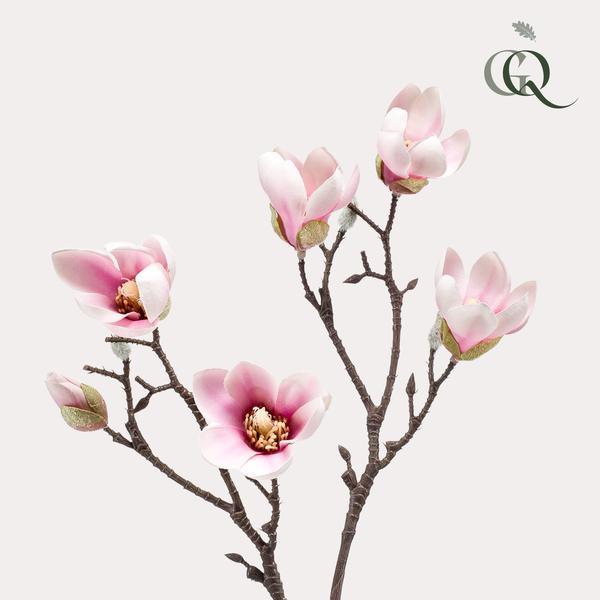 [Brand/Company Name] [Plant/Flower Type] and [Plant/Flower Type] set in [Material/Color] pot on [Material/Color] tray.