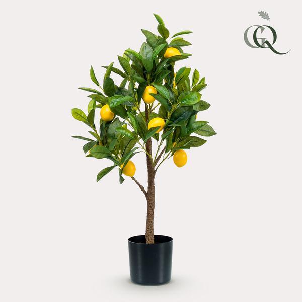 [Brand/Company Name] [Plant/Flower Type] and [Plant/Flower Type] set in [Material/Color] pot on [Material/Color] tray.