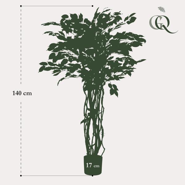[Brand/Company Name] [Plant/Flower Type] and [Plant/Flower Type] set in [Material/Color] pot on [Material/Color] tray.