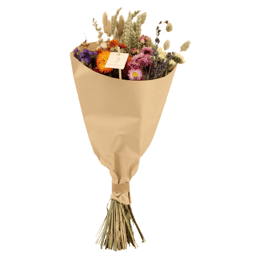 [Brand/Company Name] [Plant/Flower Type] and [Plant/Flower Type] set in [Material/Color] pot on [Material/Color] tray.