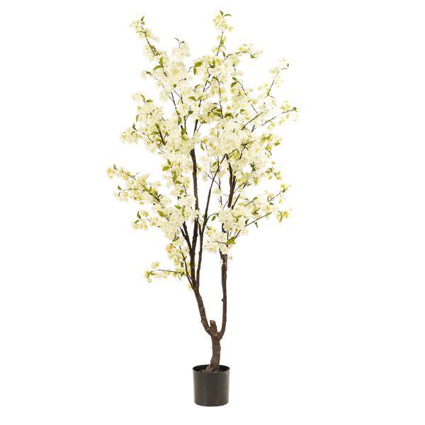 [Brand/Company Name] [Plant/Flower Type] and [Plant/Flower Type] set in [Material/Color] pot on [Material/Color] tray.