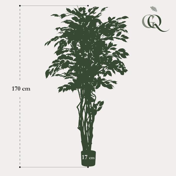 [Brand/Company Name] [Plant/Flower Type] and [Plant/Flower Type] set in [Material/Color] pot on [Material/Color] tray.