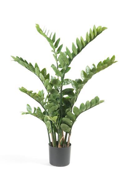 [Brand/Company Name] [Plant/Flower Type] and [Plant/Flower Type] set in [Material/Color] pot on [Material/Color] tray.