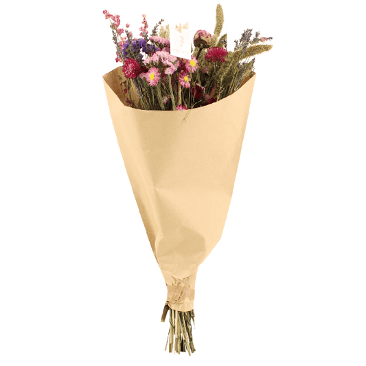 [Brand/Company Name] [Plant/Flower Type] and [Plant/Flower Type] set in [Material/Color] pot on [Material/Color] tray.