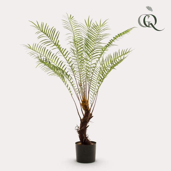 [Brand/Company Name] [Plant/Flower Type] and [Plant/Flower Type] set in [Material/Color] pot on [Material/Color] tray.