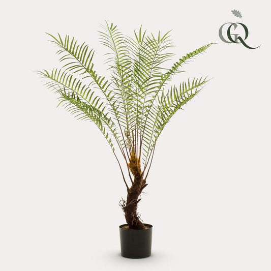 [Brand/Company Name] [Plant/Flower Type] and [Plant/Flower Type] set in [Material/Color] pot on [Material/Color] tray.
