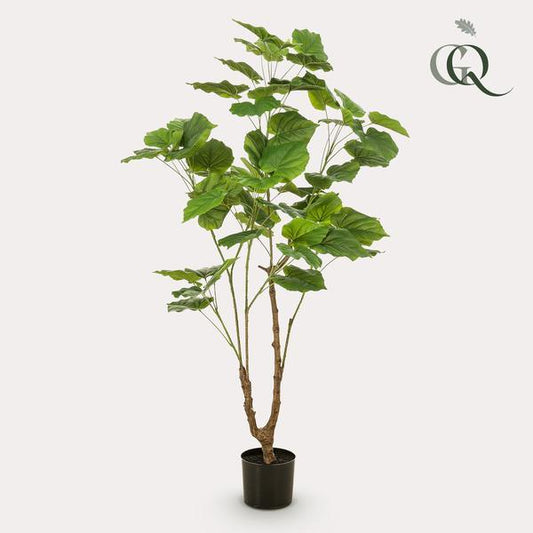 [Brand/Company Name] [Plant/Flower Type] and [Plant/Flower Type] set in [Material/Color] pot on [Material/Color] tray.