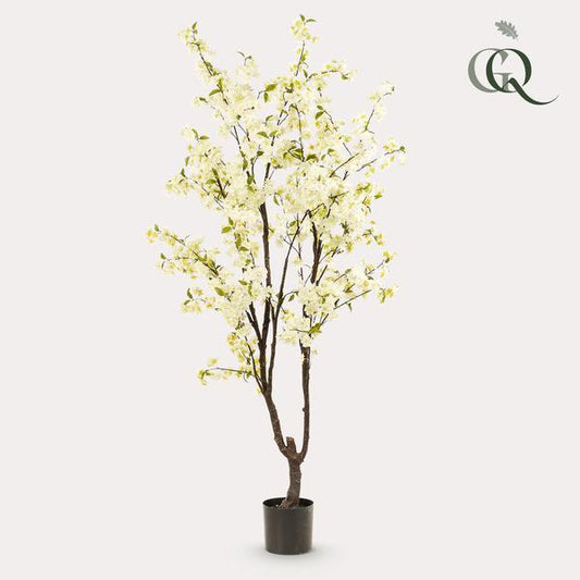 [Brand/Company Name] [Plant/Flower Type] and [Plant/Flower Type] set in [Material/Color] pot on [Material/Color] tray.