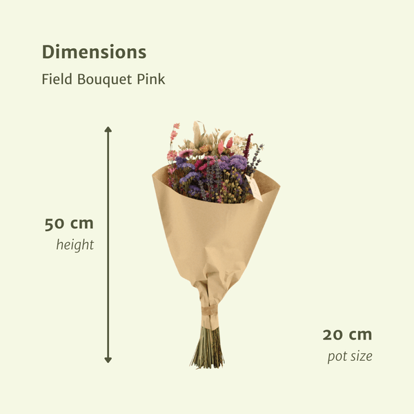 [Brand/Company Name] [Plant/Flower Type] and [Plant/Flower Type] set in [Material/Color] pot on [Material/Color] tray.