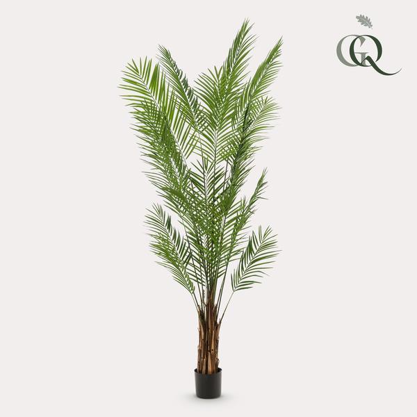 [Brand/Company Name] [Plant/Flower Type] and [Plant/Flower Type] set in [Material/Color] pot on [Material/Color] tray.