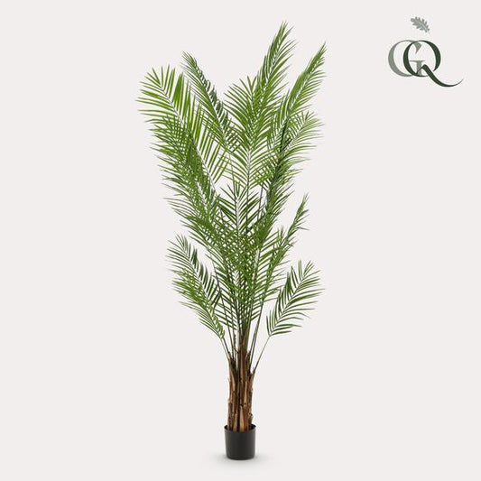 [Brand/Company Name] [Plant/Flower Type] and [Plant/Flower Type] set in [Material/Color] pot on [Material/Color] tray.