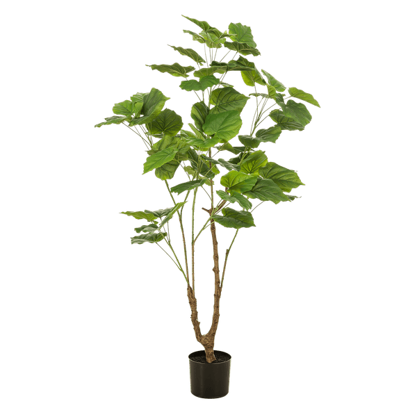[Brand/Company Name] [Plant/Flower Type] and [Plant/Flower Type] set in [Material/Color] pot on [Material/Color] tray.