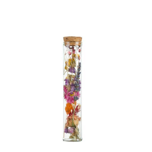 [Brand/Company Name] [Plant/Flower Type] and [Plant/Flower Type] set in [Material/Color] pot on [Material/Color] tray.