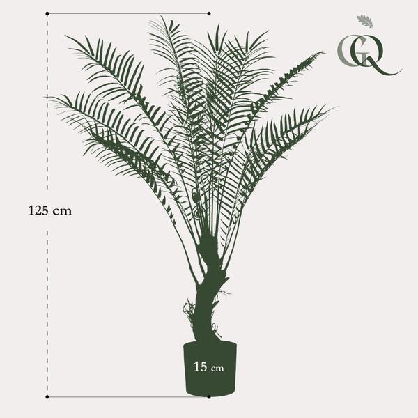 [Brand/Company Name] [Plant/Flower Type] and [Plant/Flower Type] set in [Material/Color] pot on [Material/Color] tray.