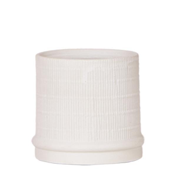 [Brand/Company Name] [Plant/Flower Type] and [Plant/Flower Type] set in [Material/Color] pot on [Material/Color] tray.