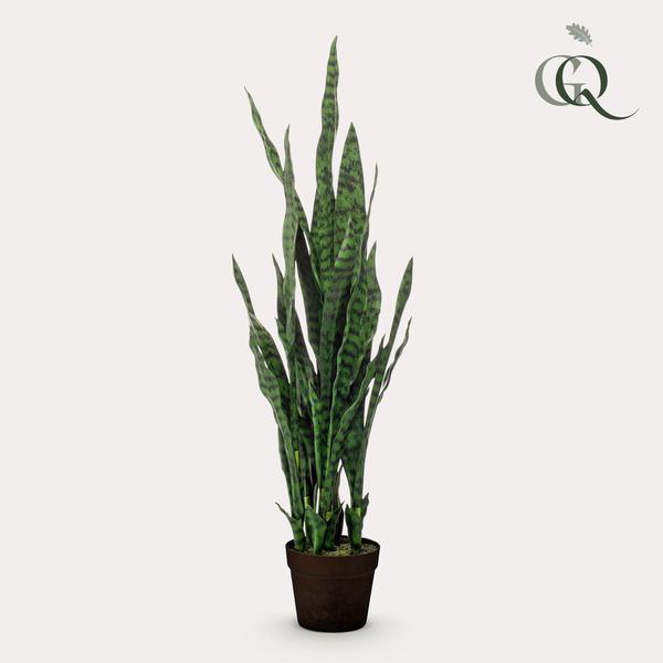 [Brand/Company Name] [Plant/Flower Type] and [Plant/Flower Type] set in [Material/Color] pot on [Material/Color] tray.