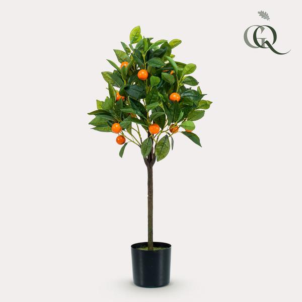 [Brand/Company Name] [Plant/Flower Type] and [Plant/Flower Type] set in [Material/Color] pot on [Material/Color] tray.