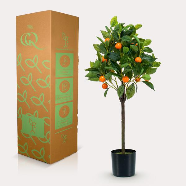 [Brand/Company Name] [Plant/Flower Type] and [Plant/Flower Type] set in [Material/Color] pot on [Material/Color] tray.