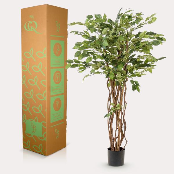 [Brand/Company Name] [Plant/Flower Type] and [Plant/Flower Type] set in [Material/Color] pot on [Material/Color] tray.
